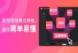 转转大师视频格式转换器v1.2.0.2
