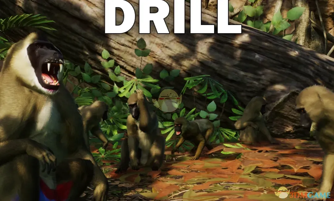 《动物园之星》新物种鬼狒MOD