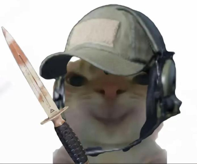 “没建模没经济”的“干嘛猫”，就不能收获属于自己的幸福吗？