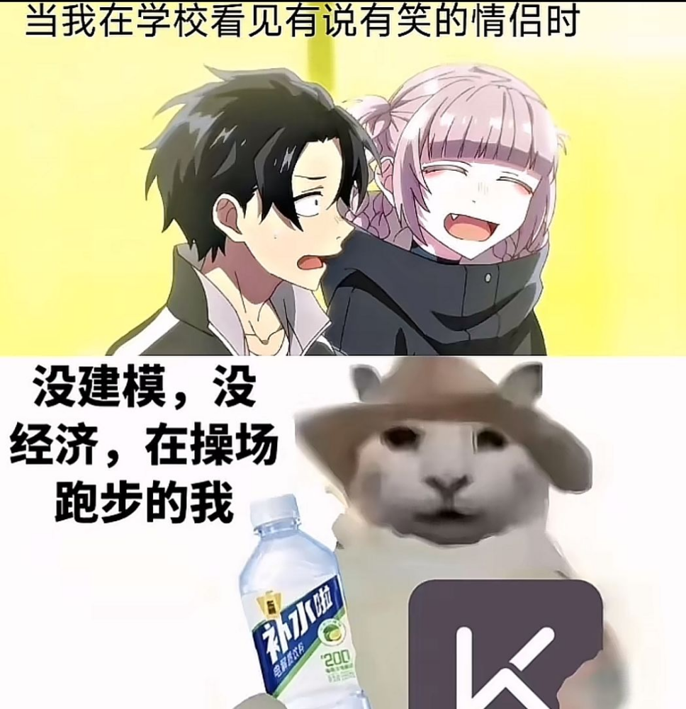 “没建模没经济”的“干嘛猫”，就不能收获属于自己的幸福吗？