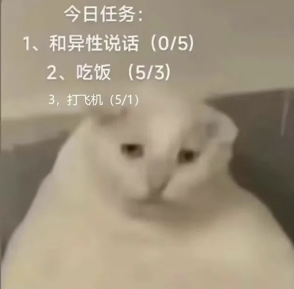 “没建模没经济”的“干嘛猫”，就不能收获属于自己的幸福吗？