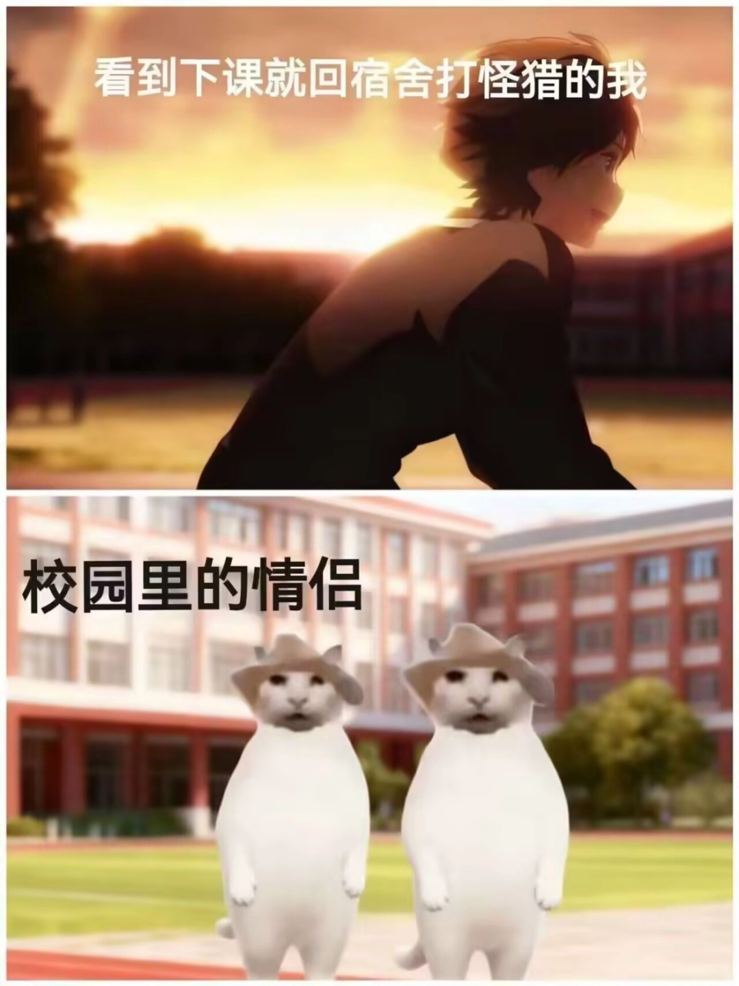 “没建模没经济”的“干嘛猫”，就不能收获属于自己的幸福吗？