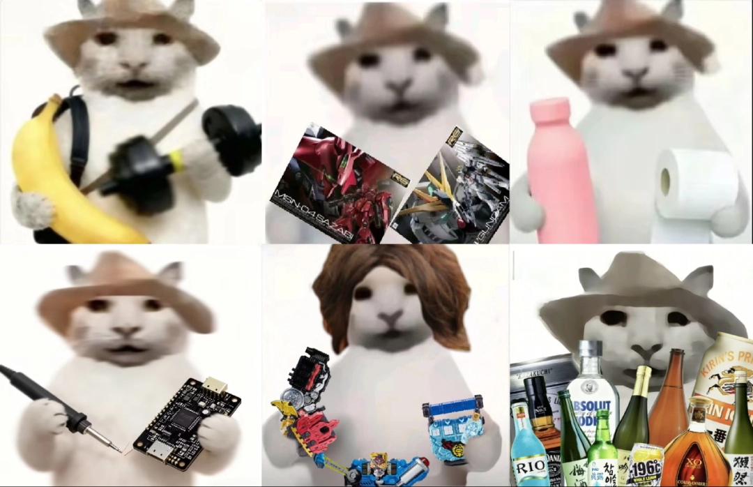 “没建模没经济”的“干嘛猫”，就不能收获属于自己的幸福吗？