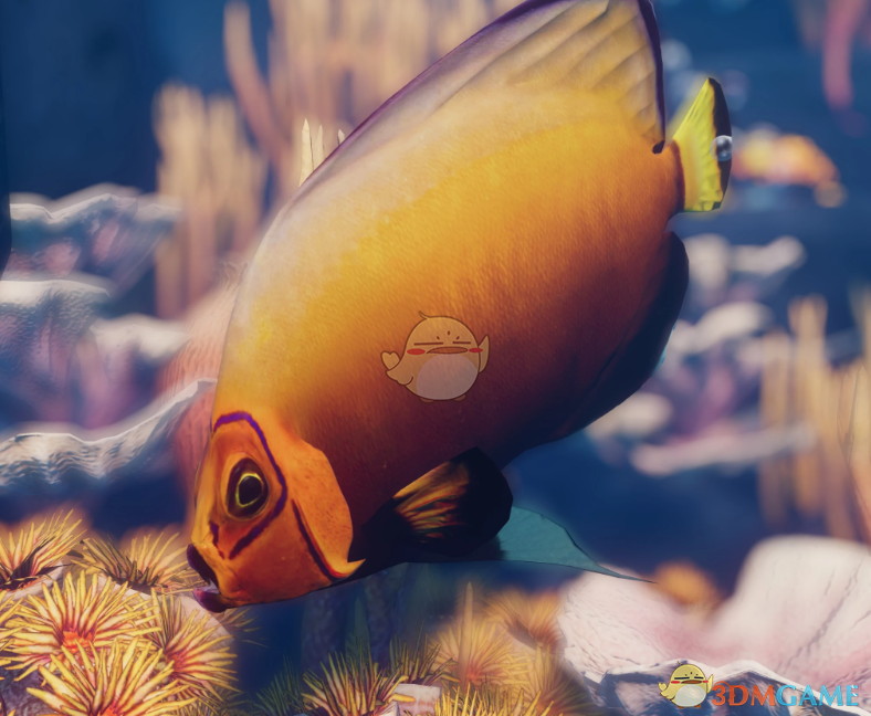 《动物园之星》新物种点荷包鱼MOD