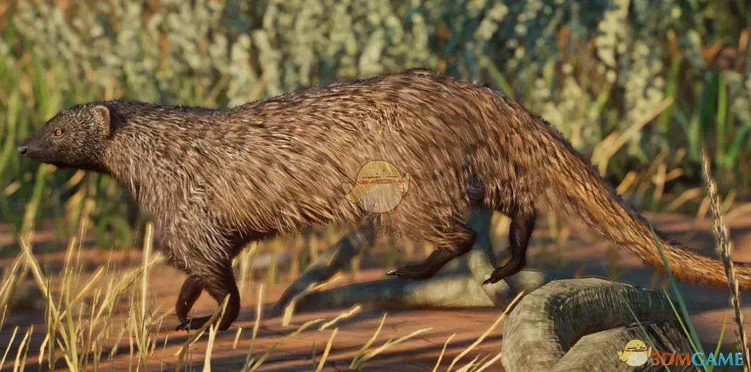 《动物园之星》新物种埃及鼬MOD