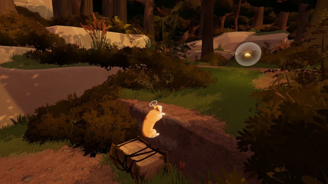 《我的小柯基》官方版