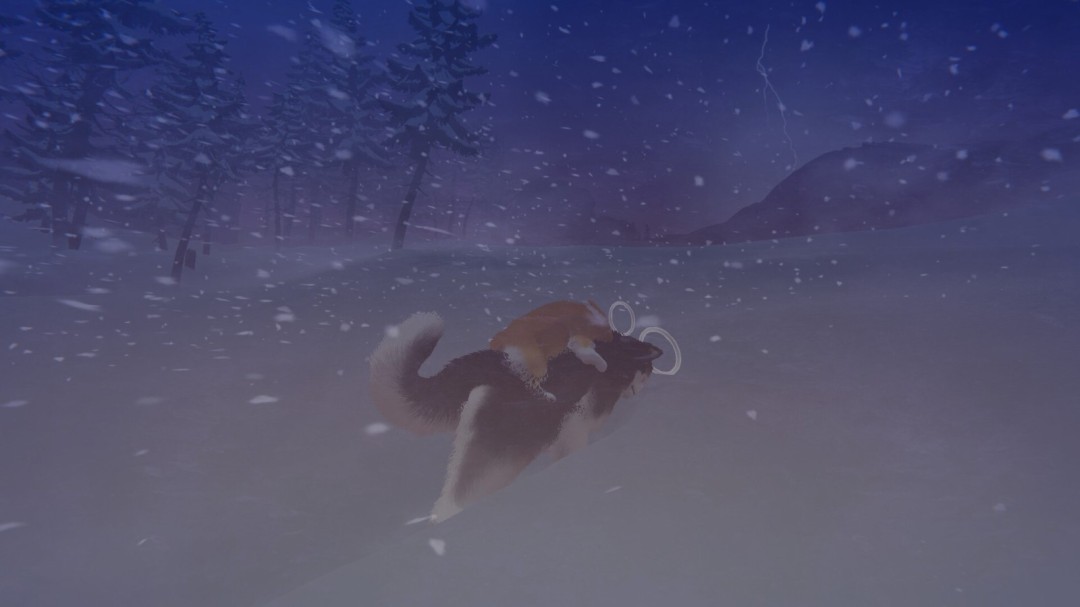 《我的小柯基》官方版