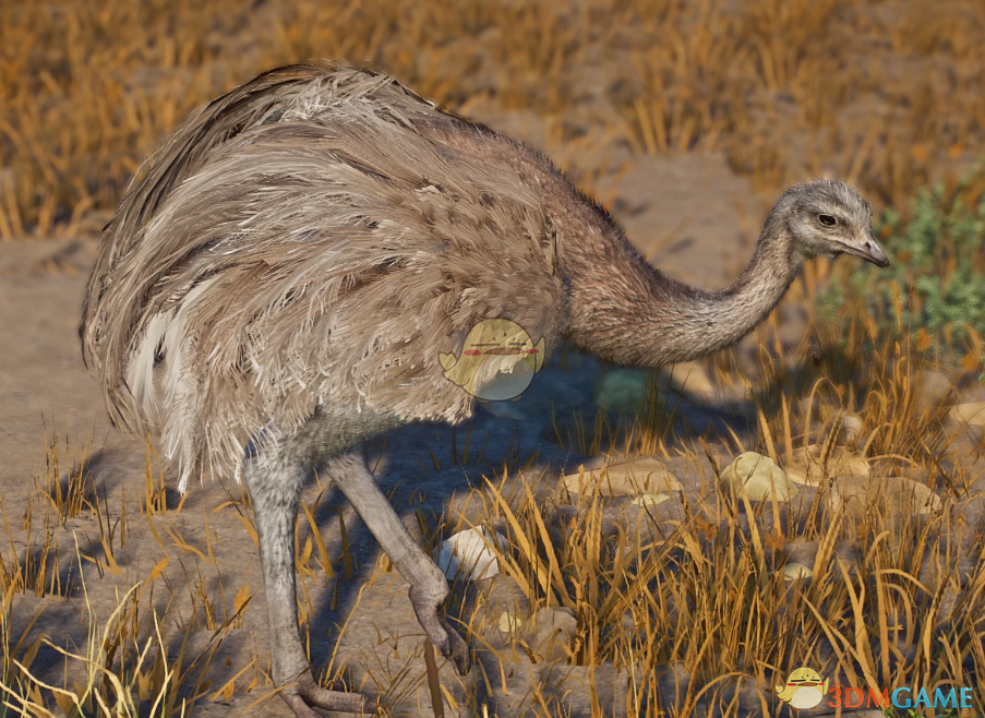 《动物园之星》新物种小美洲鸵MOD