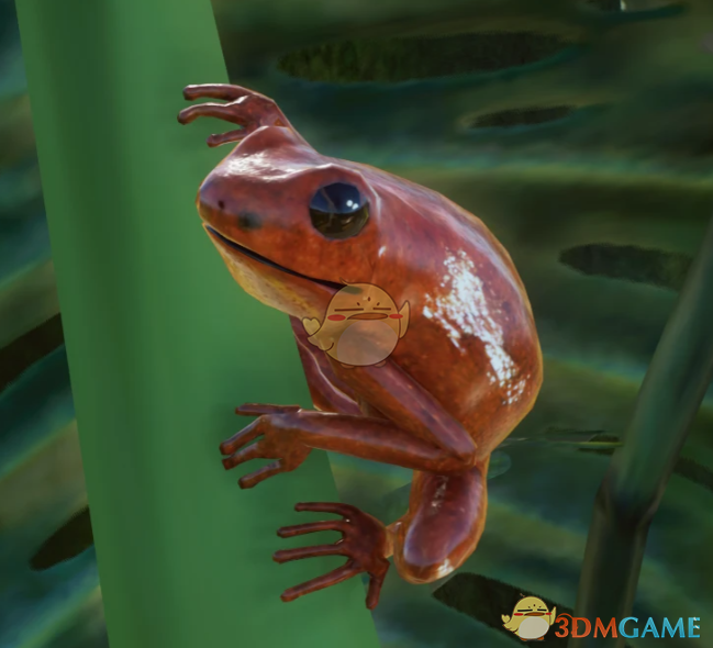 《动物园之星》新物种黄金箭毒蛙MOD