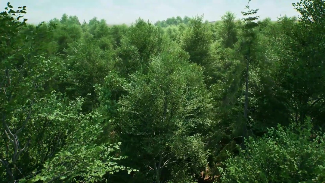 虚幻引擎5.7发布 纳米植被和惊艳动态阴影