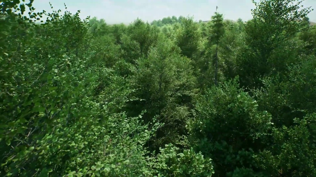 虚幻引擎5.7发布 纳米植被和惊艳动态阴影