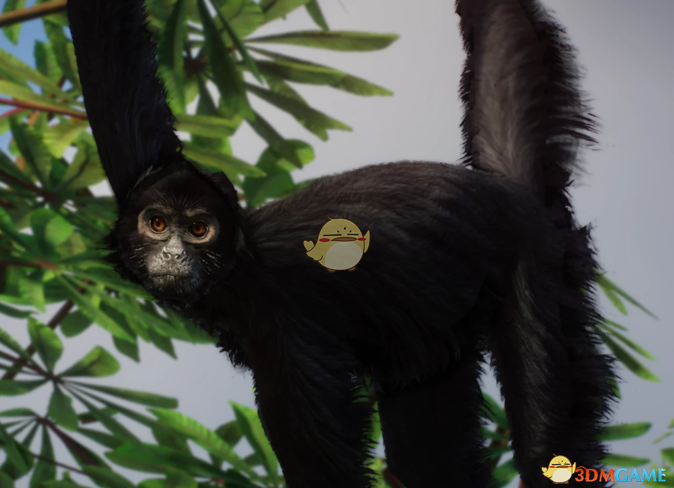 《动物园之星》新物种黑蜘蛛猴MOD