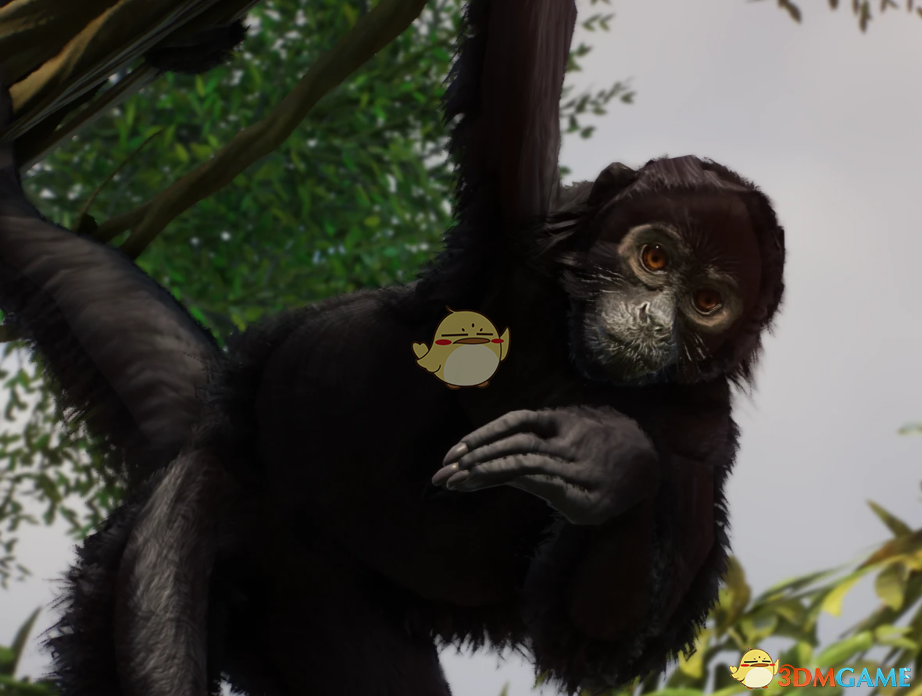 《动物园之星》新物种黑蜘蛛猴MOD