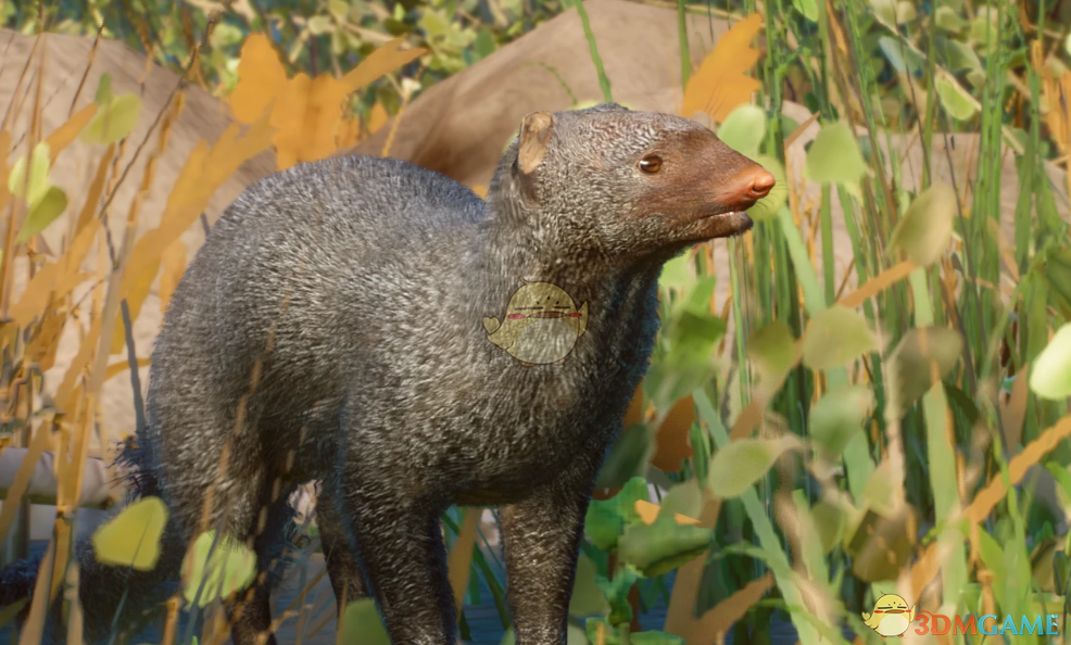 《动物园之星》新物种灰獴MOD