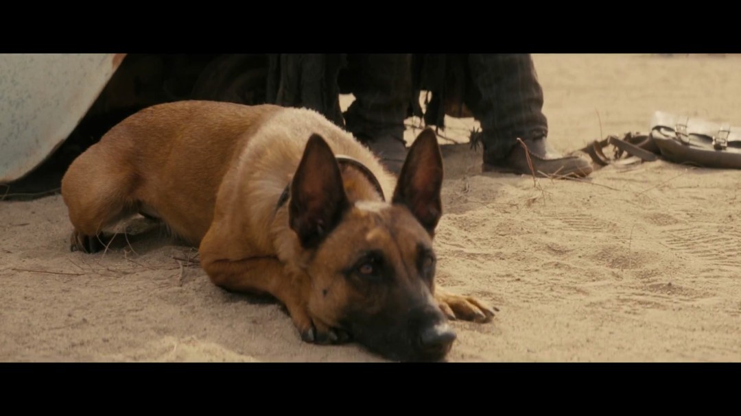 《辐射》第二季全新中文预告 12月17日播出