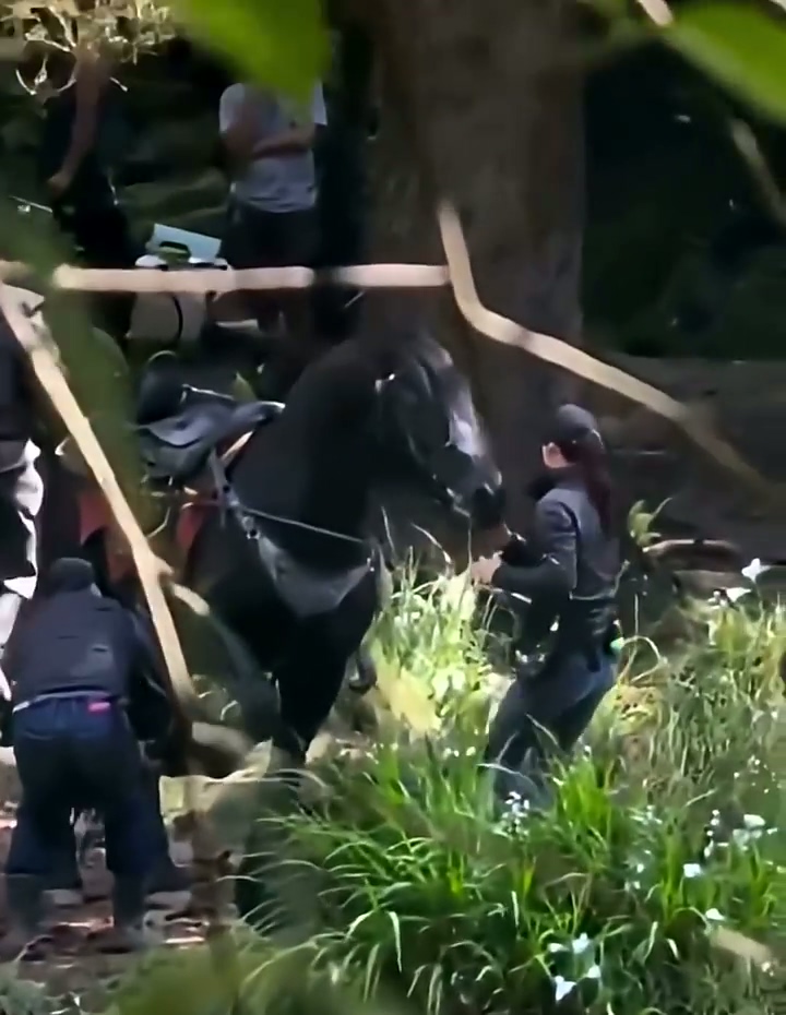 《塞尔达传说》真人电影片场视频泄露 装扮还原游戏