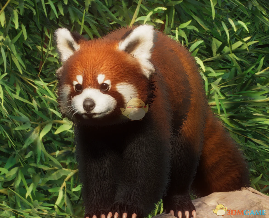 《动物园之星》新物种中华小熊猫MOD