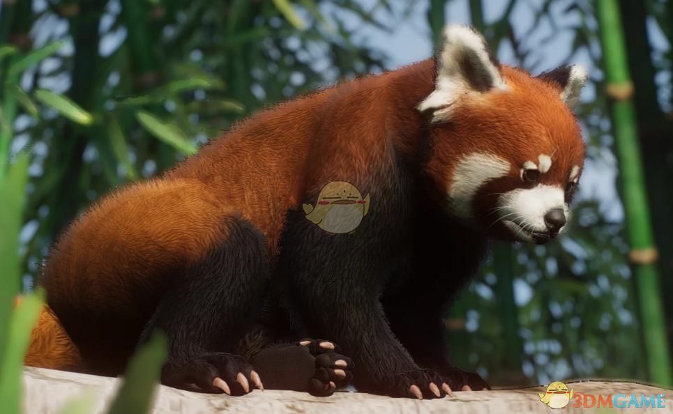 《动物园之星》新物种中华小熊猫MOD