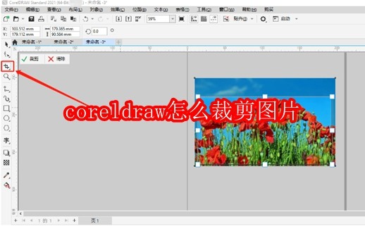 coreldraw怎么裁剪图片
