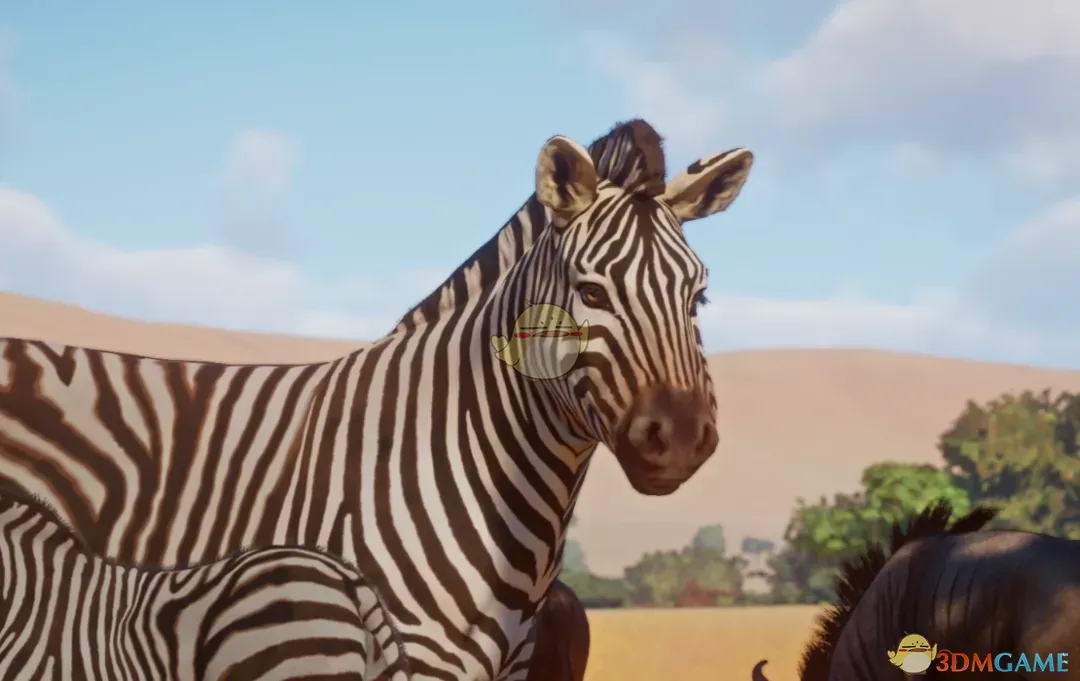 《动物园之星》新物种开普山斑马MOD