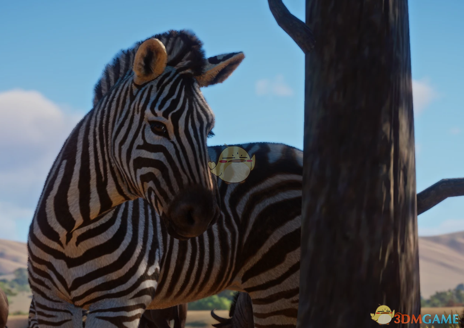 《动物园之星》新物种开普山斑马MOD