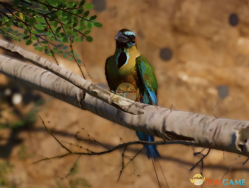 《动物园之星》新物种绿眉翠鴗MOD