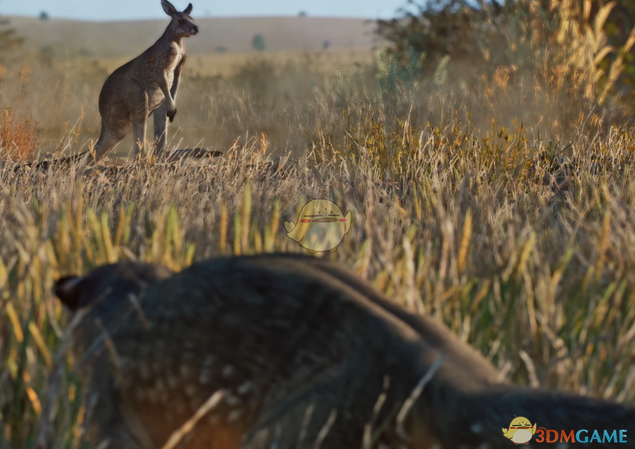 《动物园之星》新物种刽子手袋狮MOD