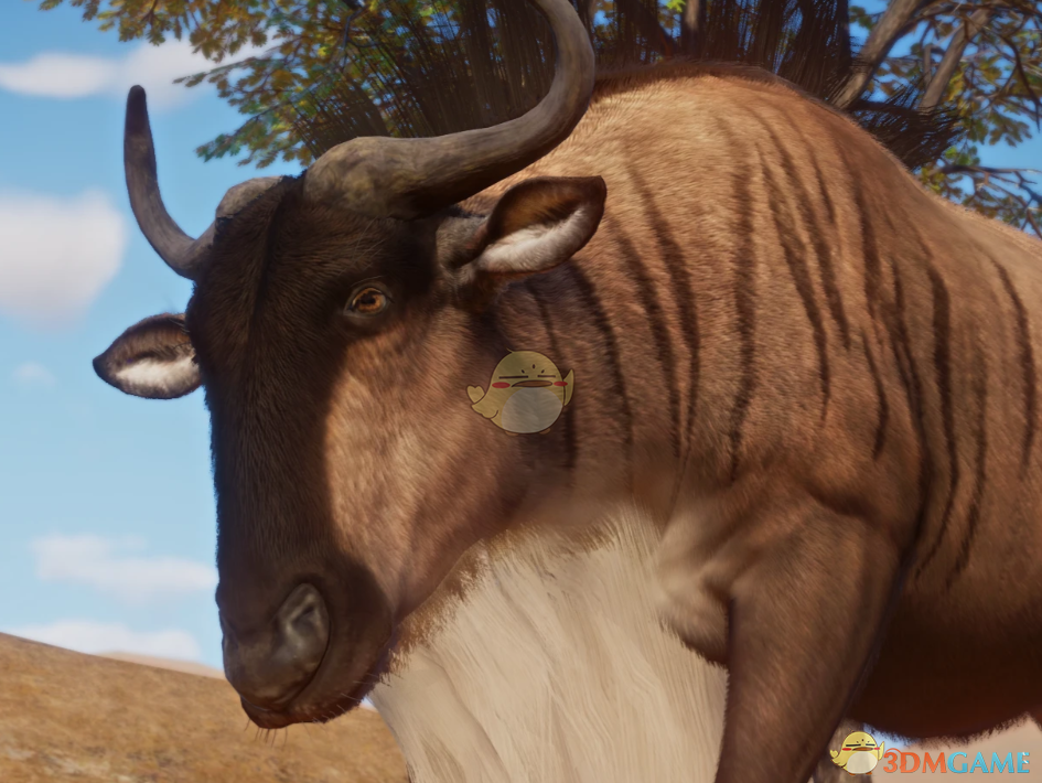 《动物园之星》新物种塞伦盖蒂角马MOD