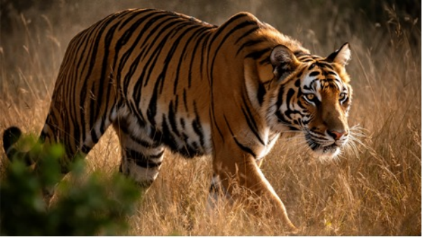 FLUX.2 图像生成模型发布，针对 NVIDIA RTX GPU 优化