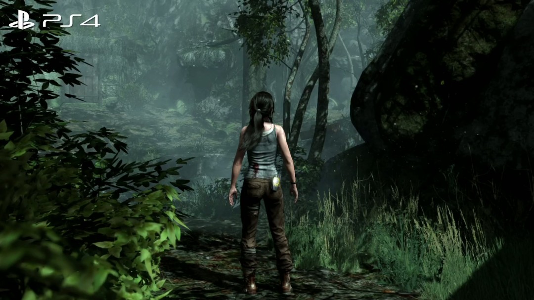 《古墓丽影9》NS2版画面大缩水 甚至不如PS3原版