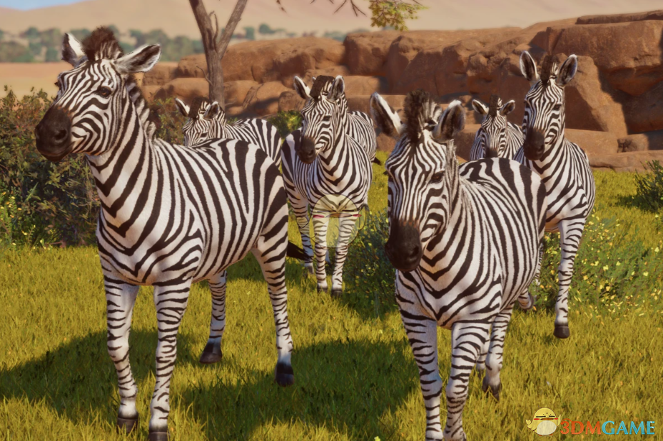《动物园之星》新物种平原斑马MOD