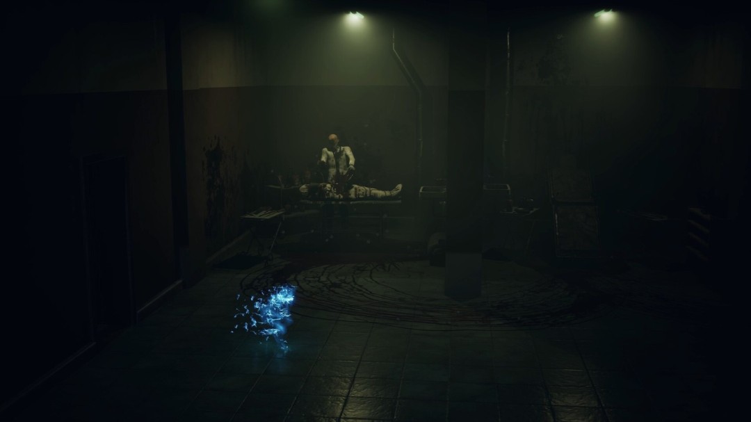 《寂静之国的波斯菊》官方版