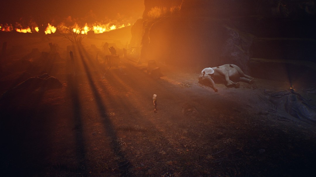 《寂静之国的波斯菊》官方版