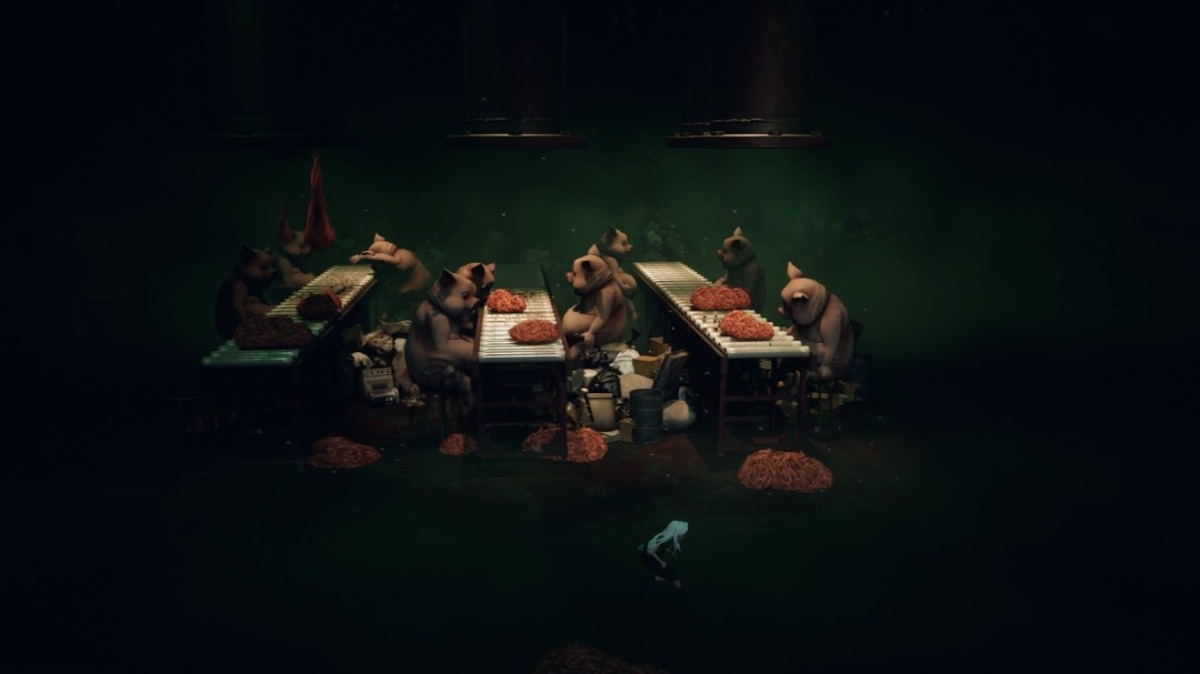 《寂静之国的波斯菊》官方版