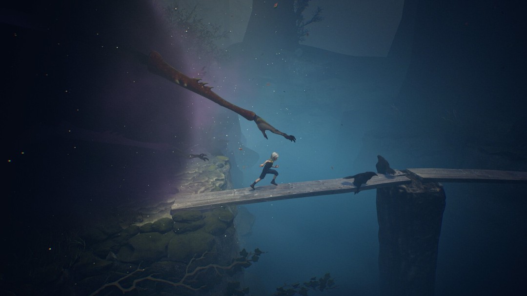 《寂静之国的波斯菊》官方版