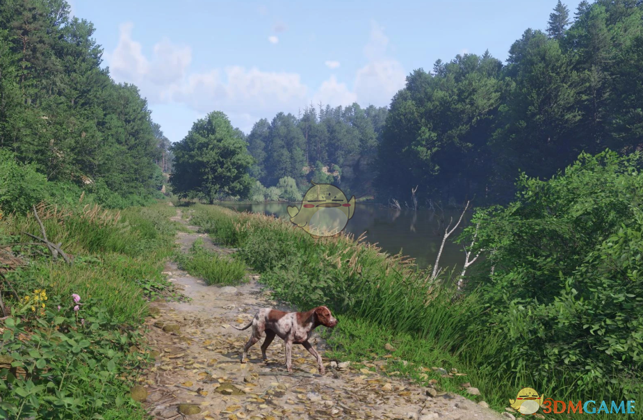 《天国：拯救2》更少的雾气MOD