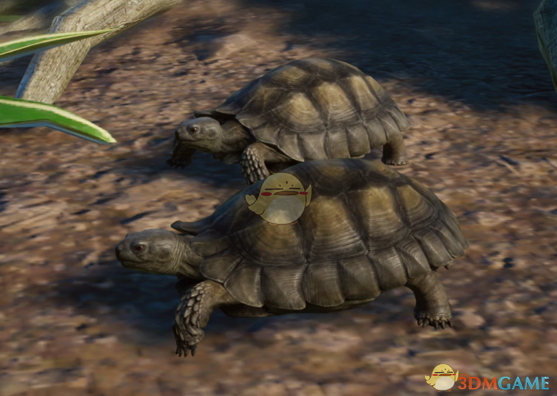 《动物园之星》新物种亚洲巨龟MOD