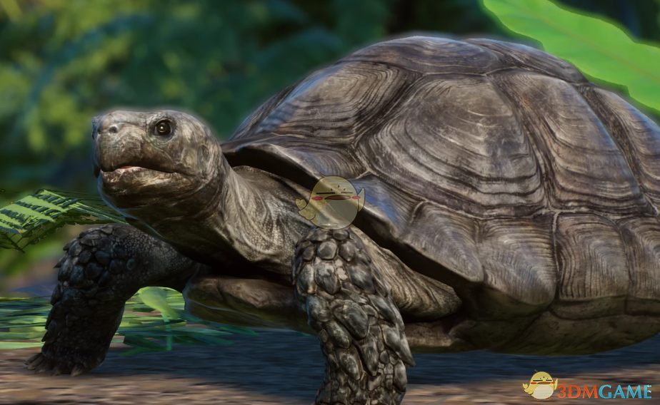 《动物园之星》新物种亚洲巨龟MOD