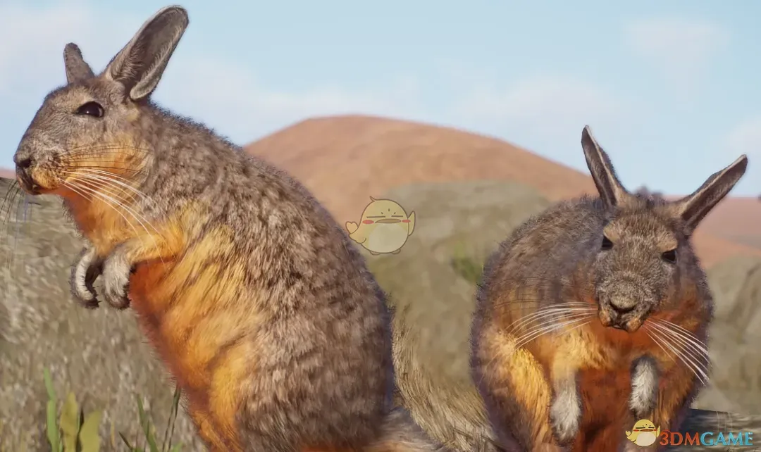 《动物园之星》新物种山绒鼠MOD