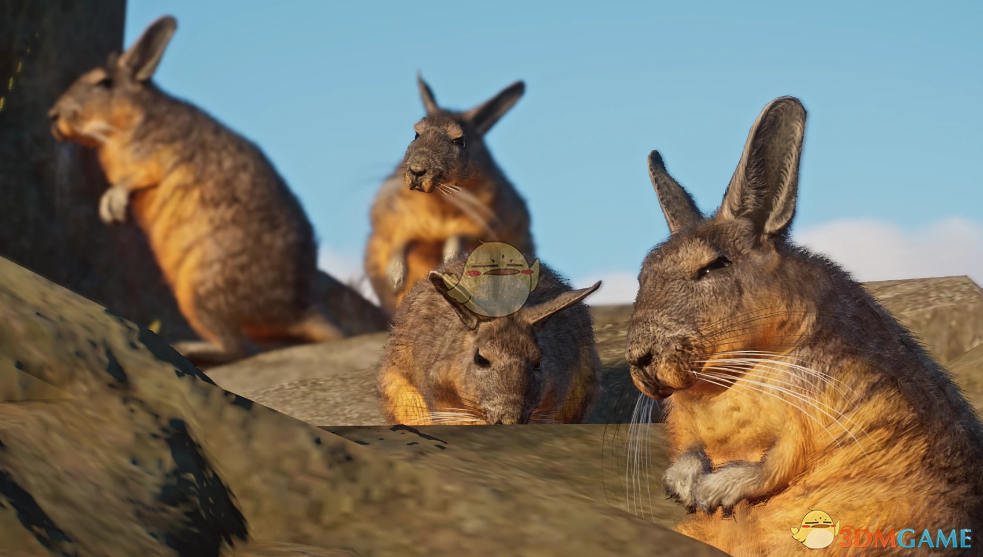 《动物园之星》新物种山绒鼠MOD