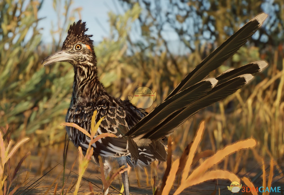 《动物园之星》新物种走鹃MOD