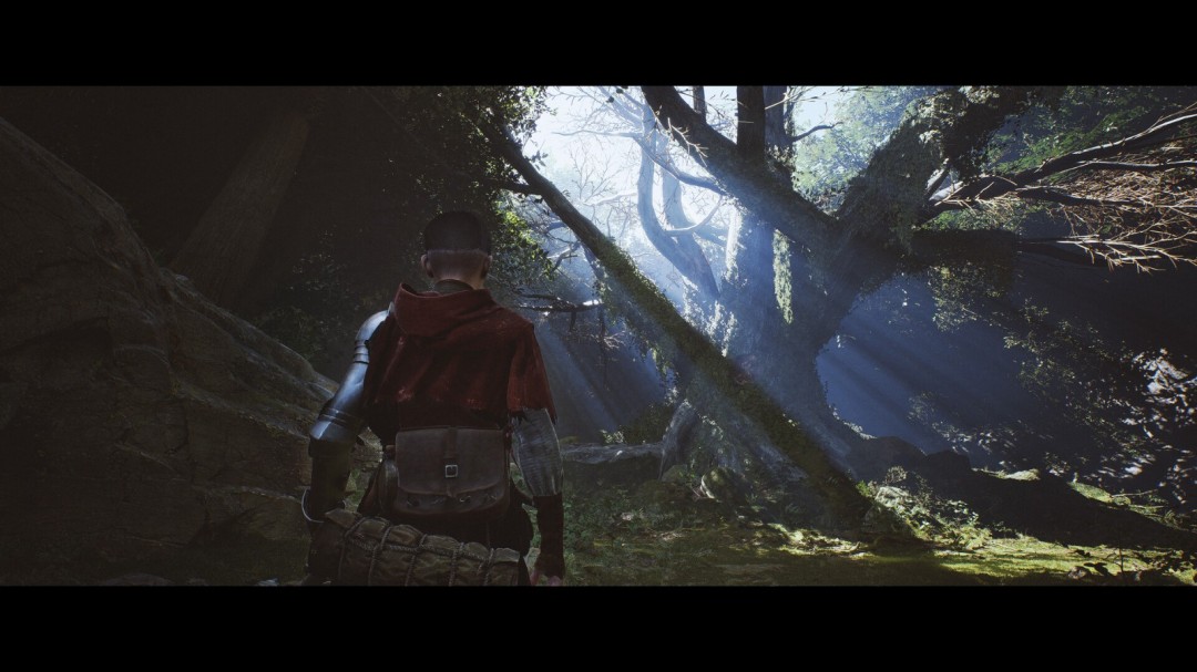 《1348：圣誓》游戏库