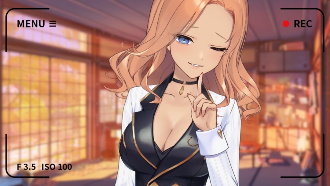 《你的另一个老婆》游戏库