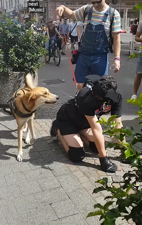 在大街上当狗的外国人，真的有了犬类自我认同？