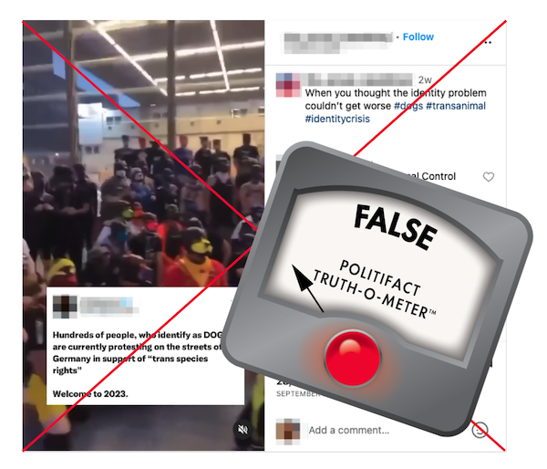 在大街上当狗的外国人，真的有了犬类自我认同？