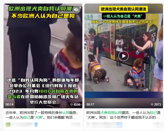 在大街上当狗的外国人，真的有了犬类自我认同？