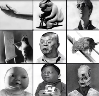 诡异的婴儿流口水黑白大头照，怎么就成为了网友摆烂专用表情包？