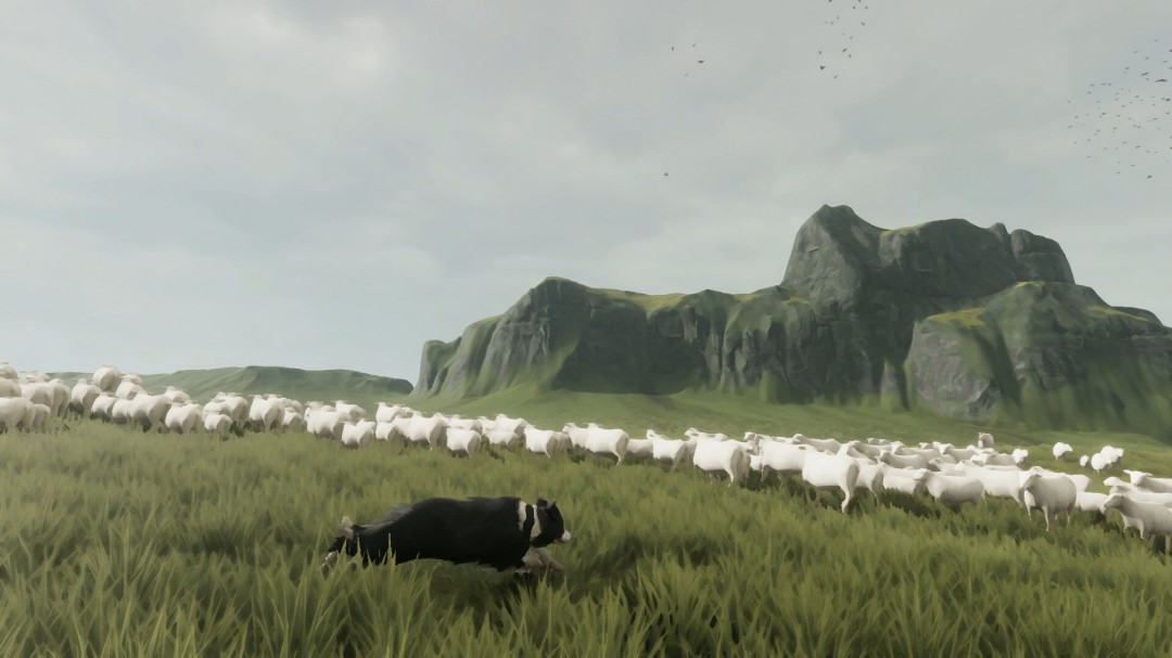 TGA 2025ΧðϷThe Free Shepherd