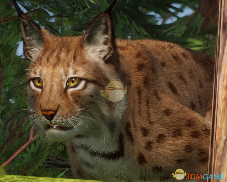 《动物园之星》新物种喀尔巴阡山猞猁MOD