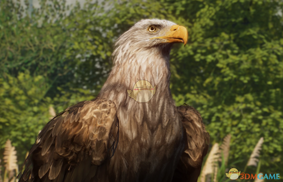 《动物园之星》新物种白尾海雕MOD